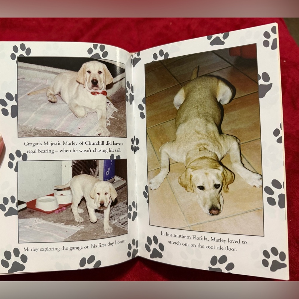 HARDBACK MARLEY AND ME BOOK NO CREASES FLAWS OR WRITING PERFECT WITH PICTURES! 🐕 - Picture 11 of 13